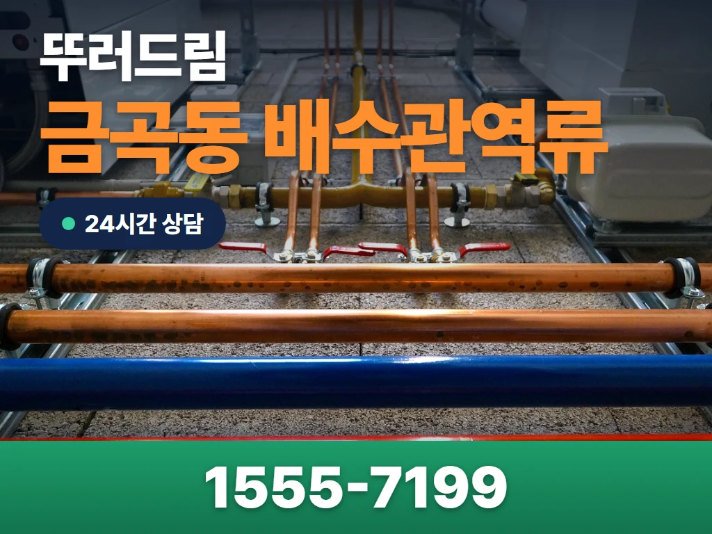 금곡동 배수관역류 현장