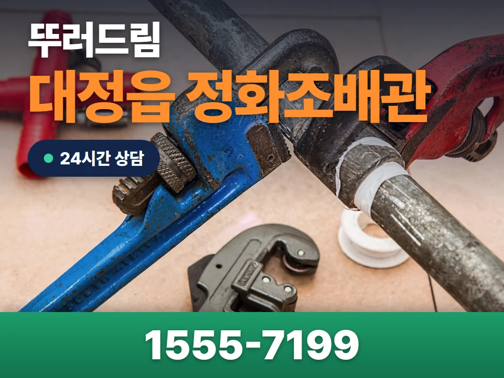 대정읍 정화조배관 현장