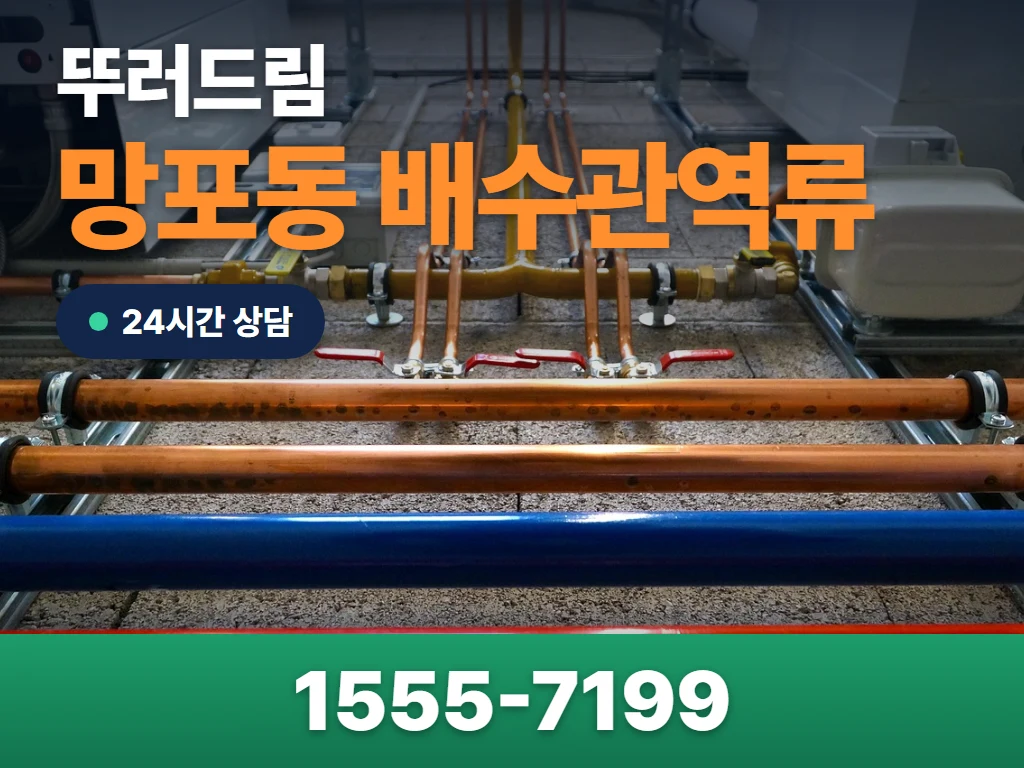 망포동 배수관역류 현장