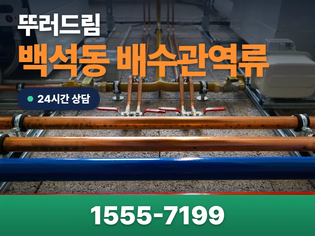 백석동 배수관역류 현장