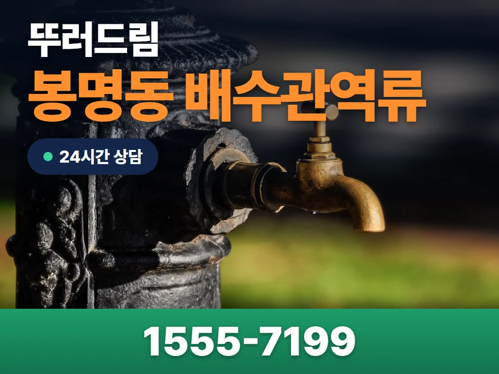 봉명동 배수관역류 현장