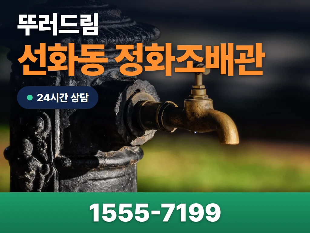 선화동 정화조배관 현장