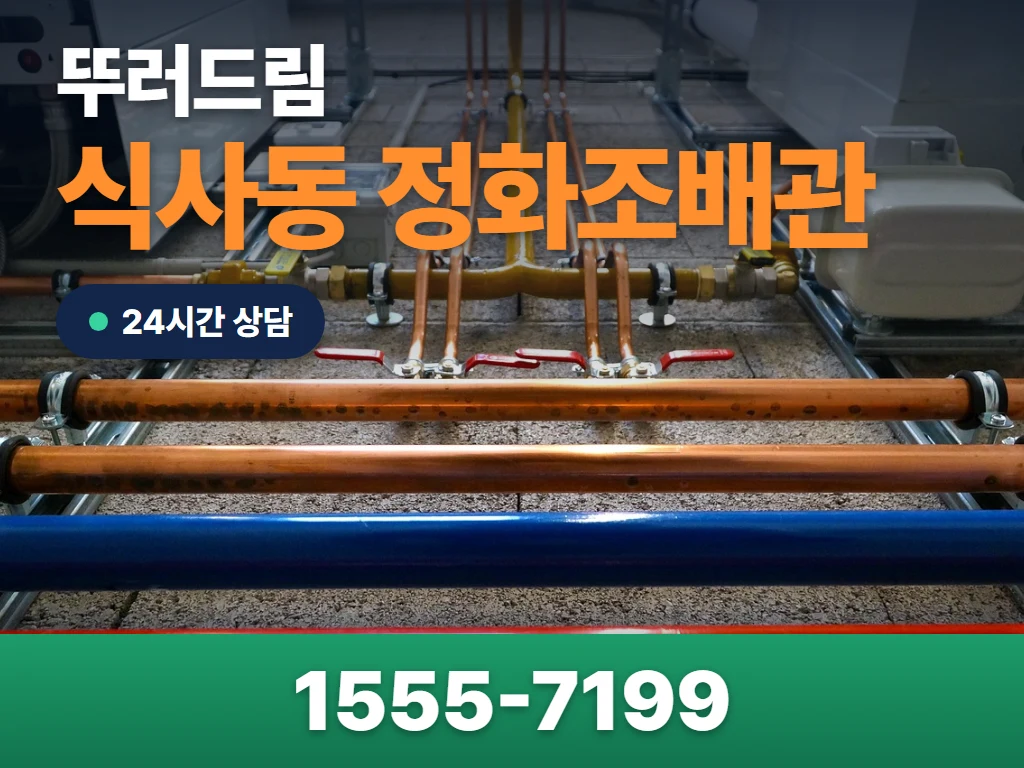 식사동 정화조배관 현장