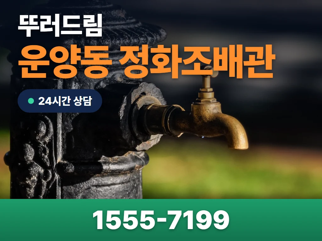 운양동 정화조배관 현장