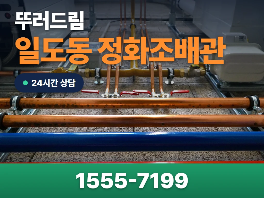 일도동 정화조배관 현장