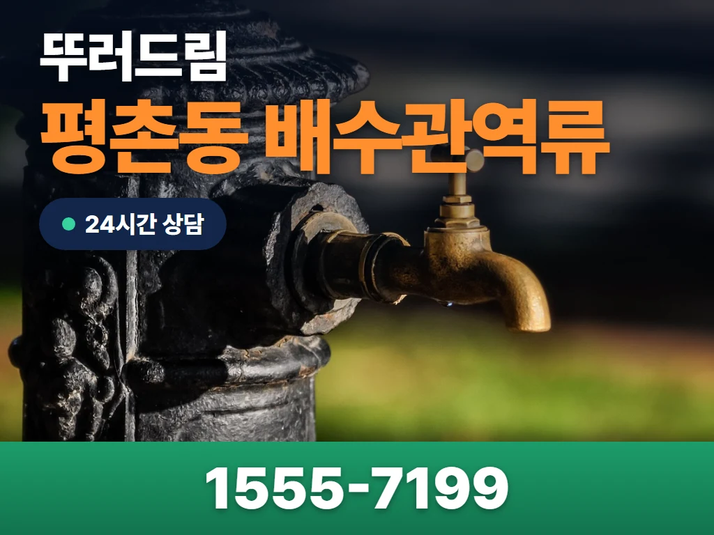평촌동 배수관역류 현장